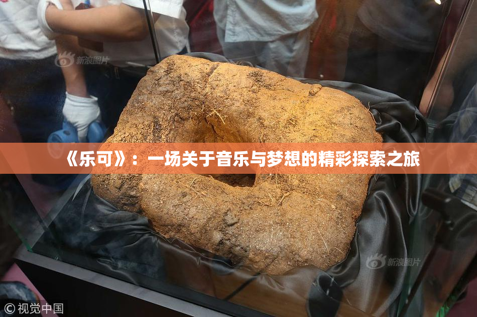 《乐可》：一场关于音乐与梦想的精彩探索之旅