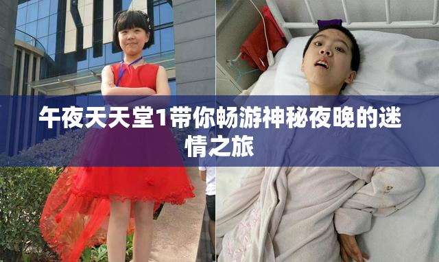午夜天天堂1带你畅游神秘夜晚的迷情之旅