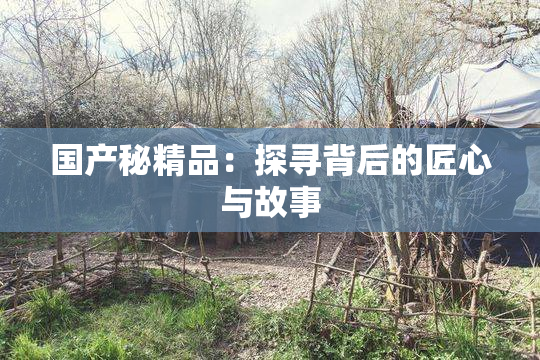 国产秘精品：探寻背后的匠心与故事