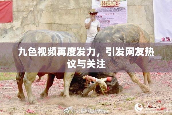 九色视频再度发力，引发网友热议与关注