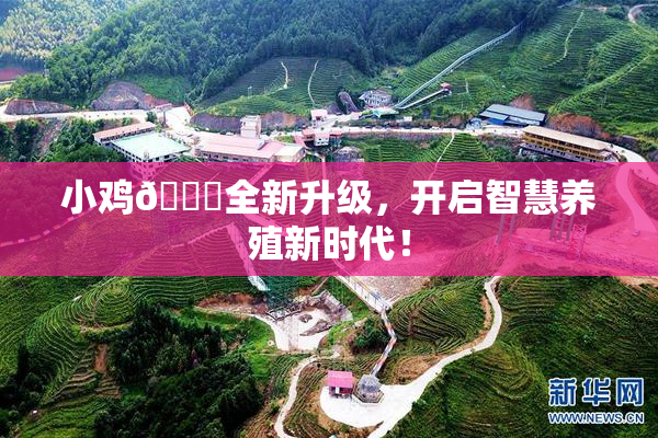 小鸡🐔全新升级，开启智慧养殖新时代！