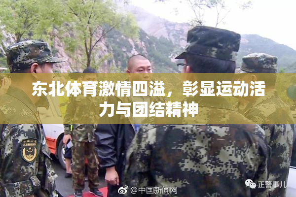 东北体育激情四溢，彰显运动活力与团结精神