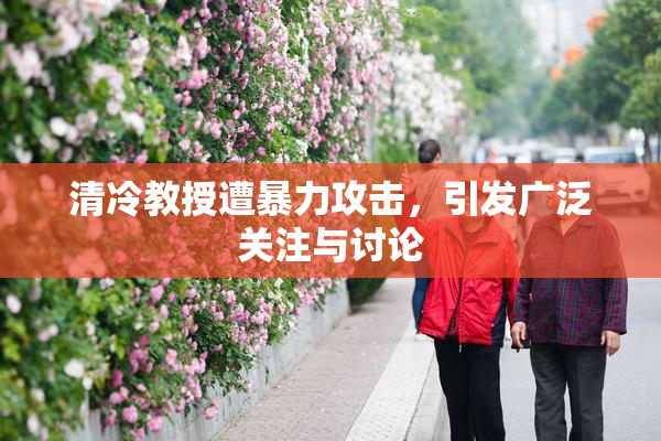 清冷教授遭暴力攻击，引发广泛关注与讨论