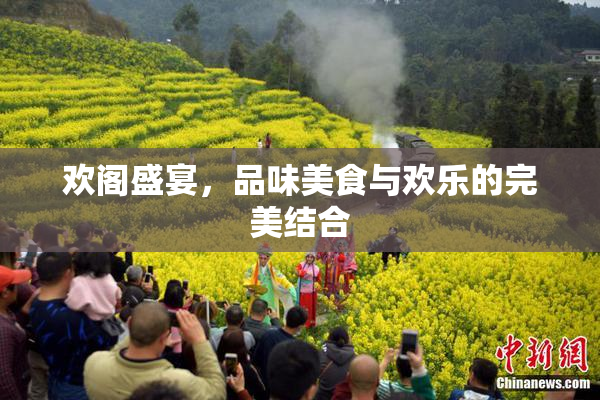 欢阁盛宴，品味美食与欢乐的完美结合