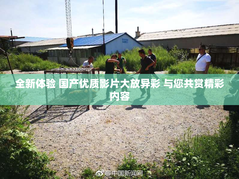 全新体验 国产优质影片大放异彩 与您共赏精彩内容