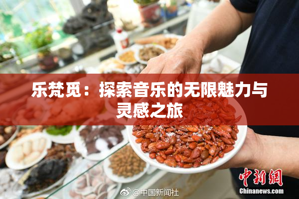 乐梵觅：探索音乐的无限魅力与灵感之旅
