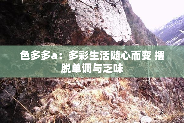 色多多a：多彩生活随心而变 摆脱单调与乏味