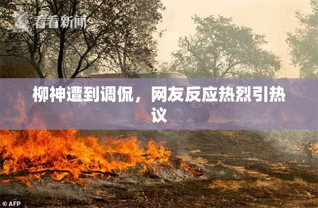 柳神遭到调侃，网友反应热烈引热议