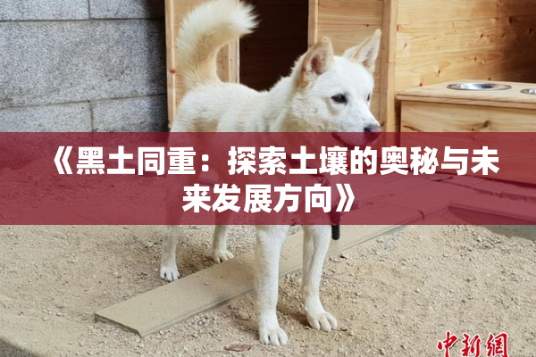 《黑土同重：探索土壤的奥秘与未来发展方向》