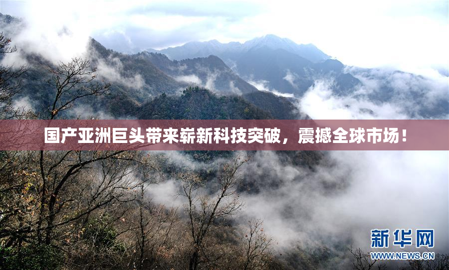 国产亚洲巨头带来崭新科技突破，震撼全球市场！
