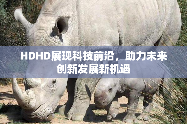 HDHD展现科技前沿，助力未来创新发展新机遇