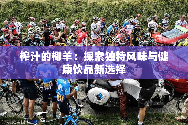 榨汁的椰羊：探索独特风味与健康饮品新选择