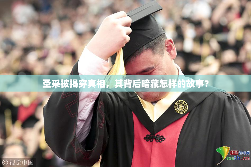 圣采被揭穿真相，其背后暗藏怎样的故事？