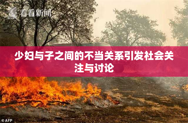 少妇与子之间的不当关系引发社会关注与讨论