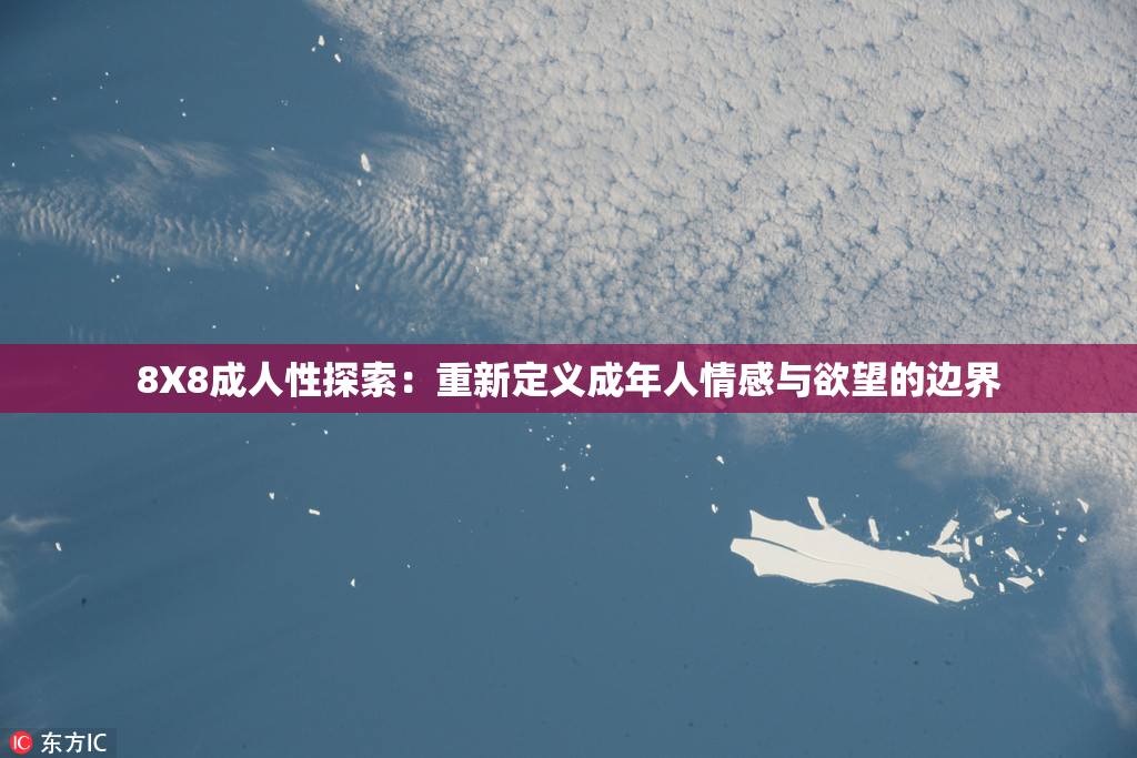 8X8成人性探索：重新定义成年人情感与欲望的边界