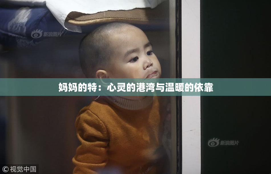 妈妈的特：心灵的港湾与温暖的依靠