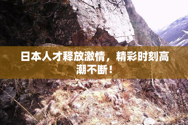 日本人才释放激情，精彩时刻高潮不断！
