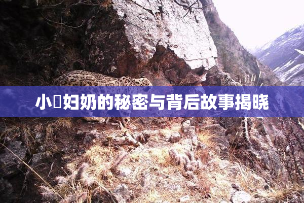 小婬妇奶的秘密与背后故事揭晓