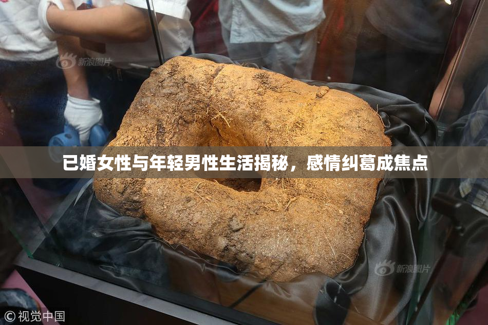 已婚女性与年轻男性生活揭秘，感情纠葛成焦点