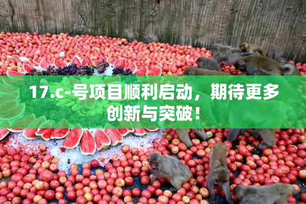 17.c-号项目顺利启动，期待更多创新与突破！