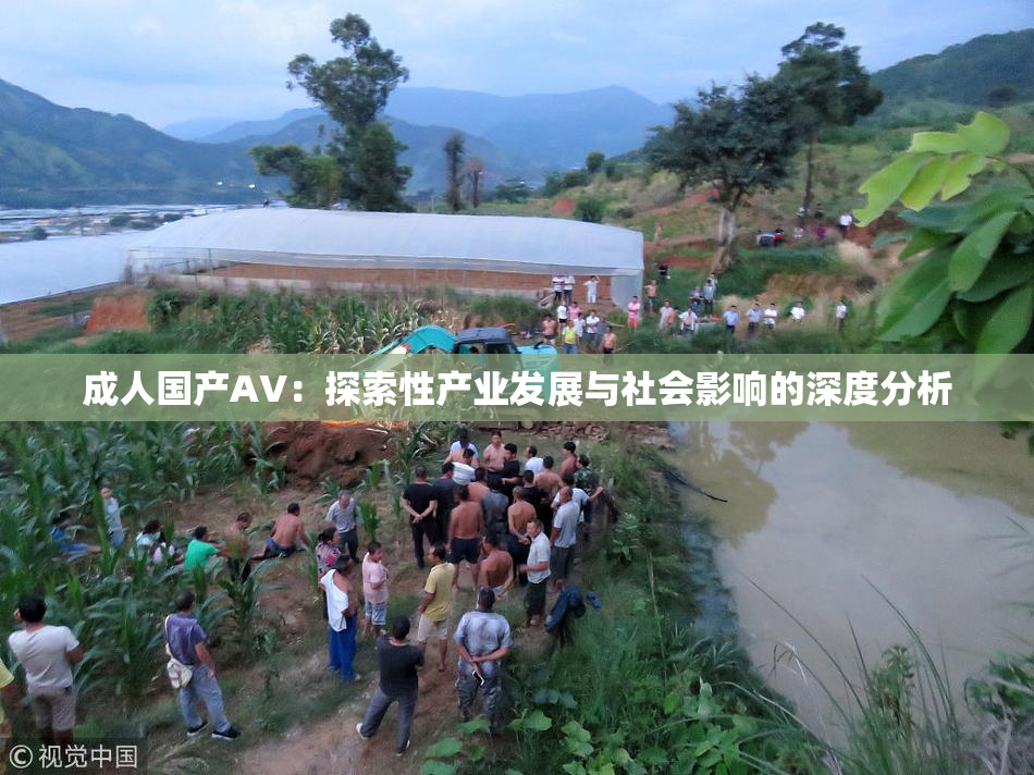 成人国产AV：探索性产业发展与社会影响的深度分析