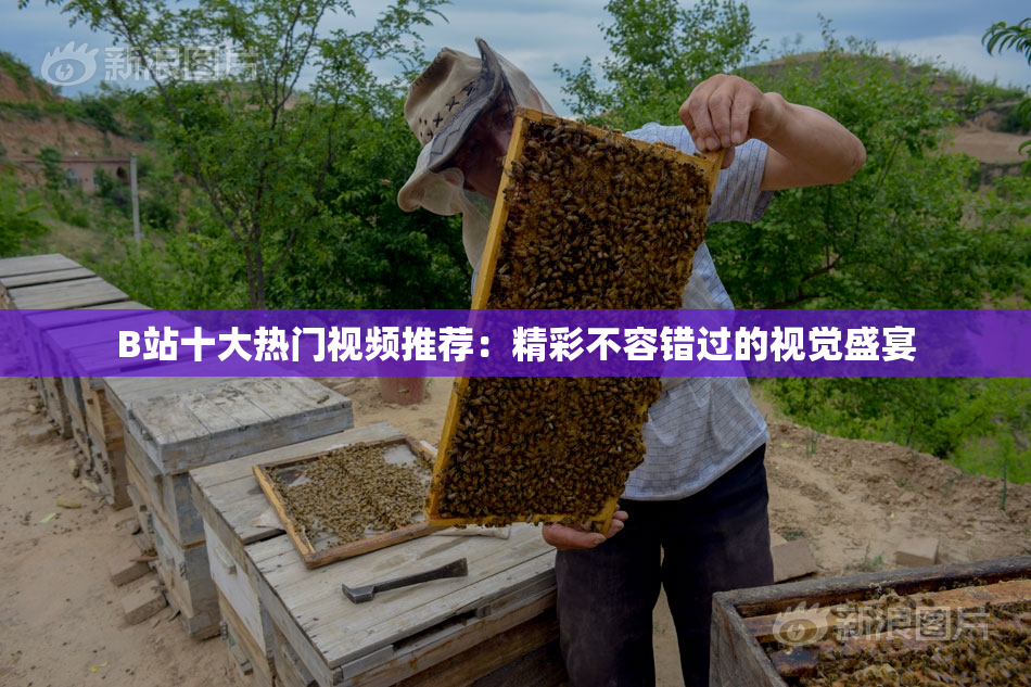 B站十大热门视频推荐：精彩不容错过的视觉盛宴