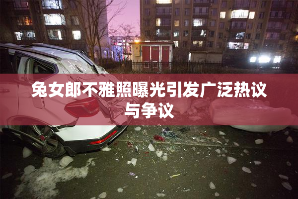 兔女郎不雅照曝光引发广泛热议与争议