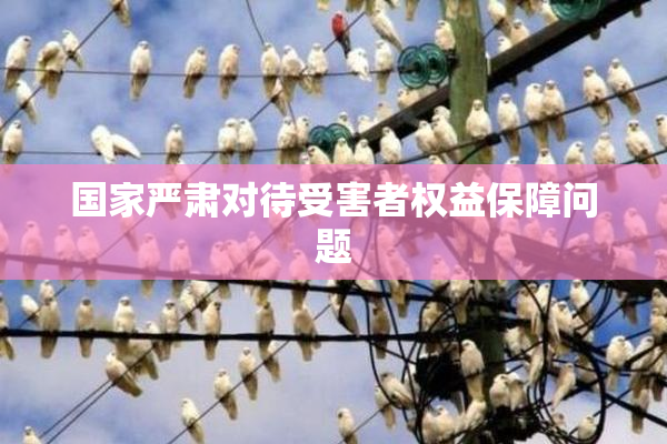 国家严肃对待受害者权益保障问题