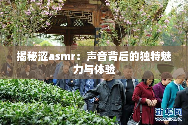 揭秘涩asmr：声音背后的独特魅力与体验