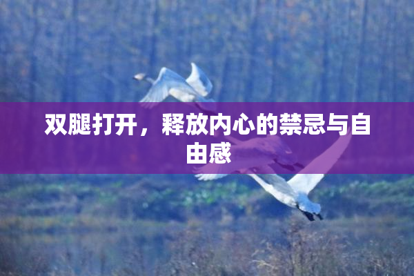 双腿打开，释放内心的禁忌与自由感