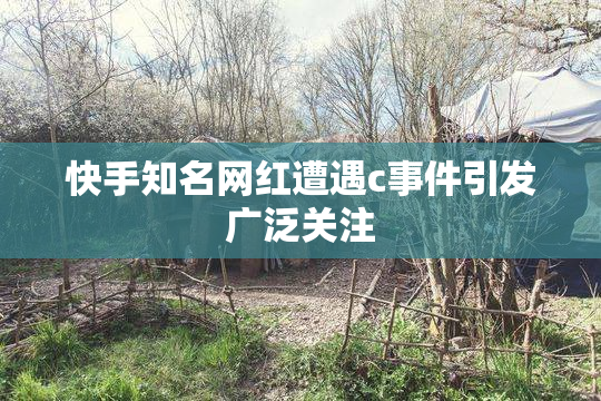 快手知名网红遭遇c事件引发广泛关注