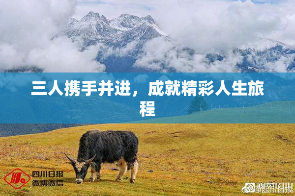 三人携手并进，成就精彩人生旅程