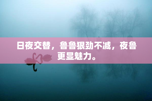 日夜交替，鲁鲁狠劲不减，夜鲁更显魅力。