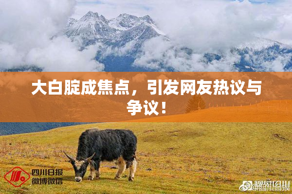 大白腚成焦点，引发网友热议与争议！