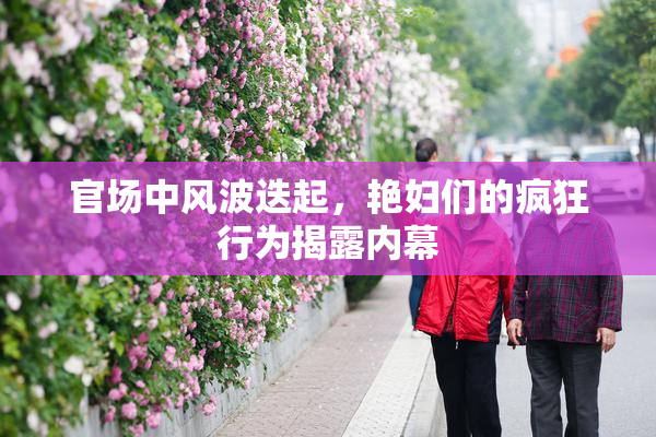 官场中风波迭起，艳妇们的疯狂行为揭露内幕