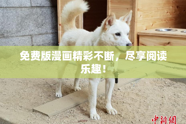 免费版漫画精彩不断，尽享阅读乐趣！