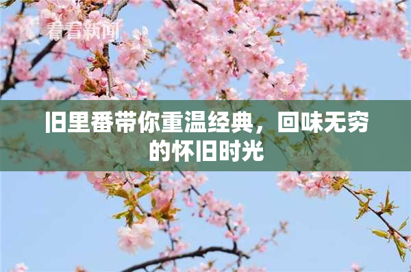 旧里番带你重温经典，回味无穷的怀旧时光