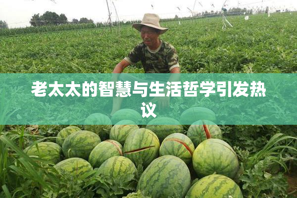 老太太的智慧与生活哲学引发热议