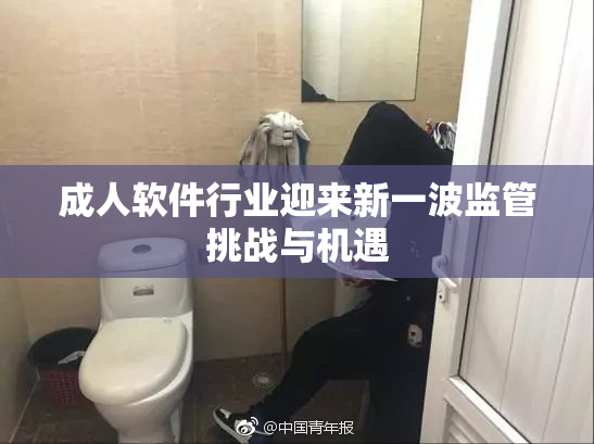 成人软件行业迎来新一波监管挑战与机遇