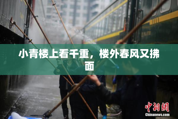 小青楼上看千重，楼外春风又拂面