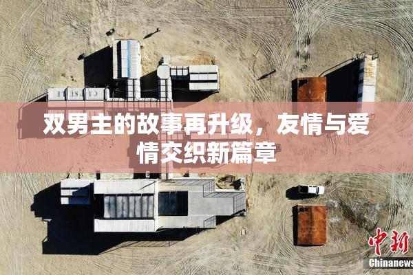 双男主的故事再升级，友情与爱情交织新篇章