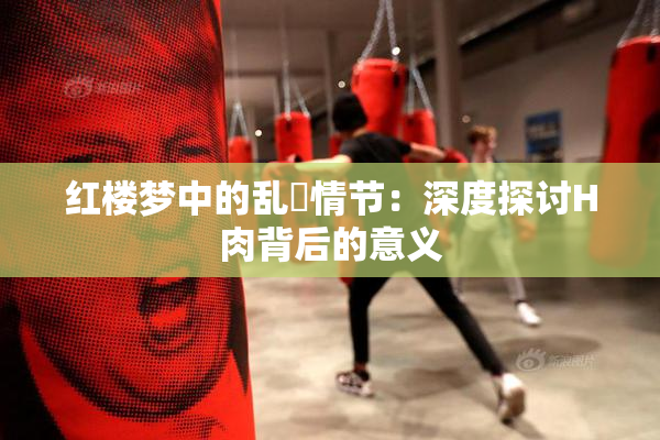 红楼梦中的乱婬情节：深度探讨H肉背后的意义