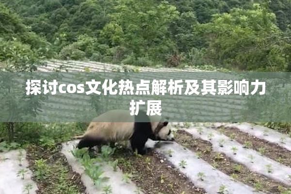 探讨cos文化热点解析及其影响力扩展