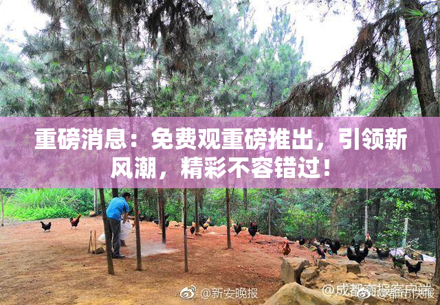 重磅消息：免费观重磅推出，引领新风潮，精彩不容错过！