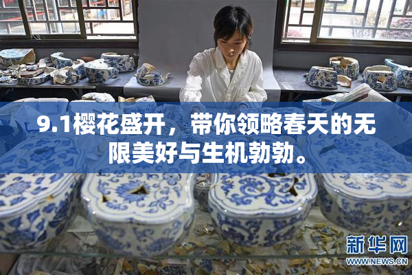 9.1樱花盛开，带你领略春天的无限美好与生机勃勃。