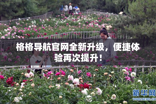 格格导航官网全新升级，便捷体验再次提升！
