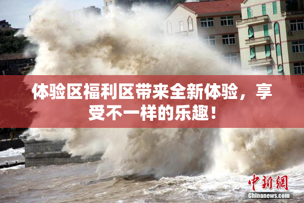 体验区福利区带来全新体验，享受不一样的乐趣！