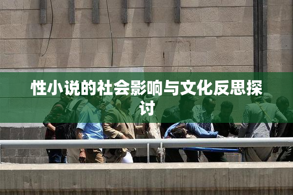 性小说的社会影响与文化反思探讨
