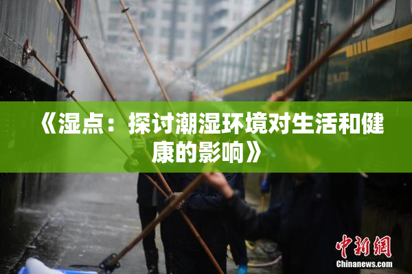 《湿点：探讨潮湿环境对生活和健康的影响》