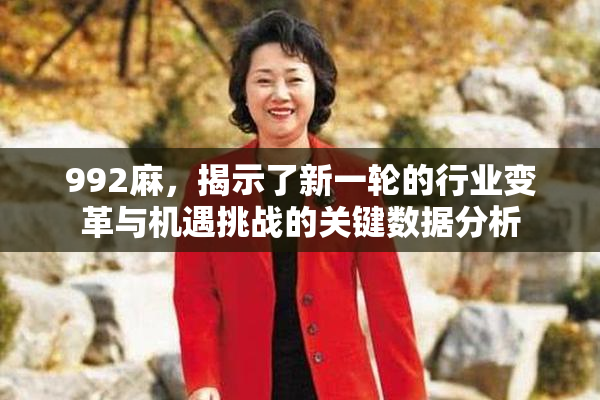 992麻，揭示了新一轮的行业变革与机遇挑战的关键数据分析